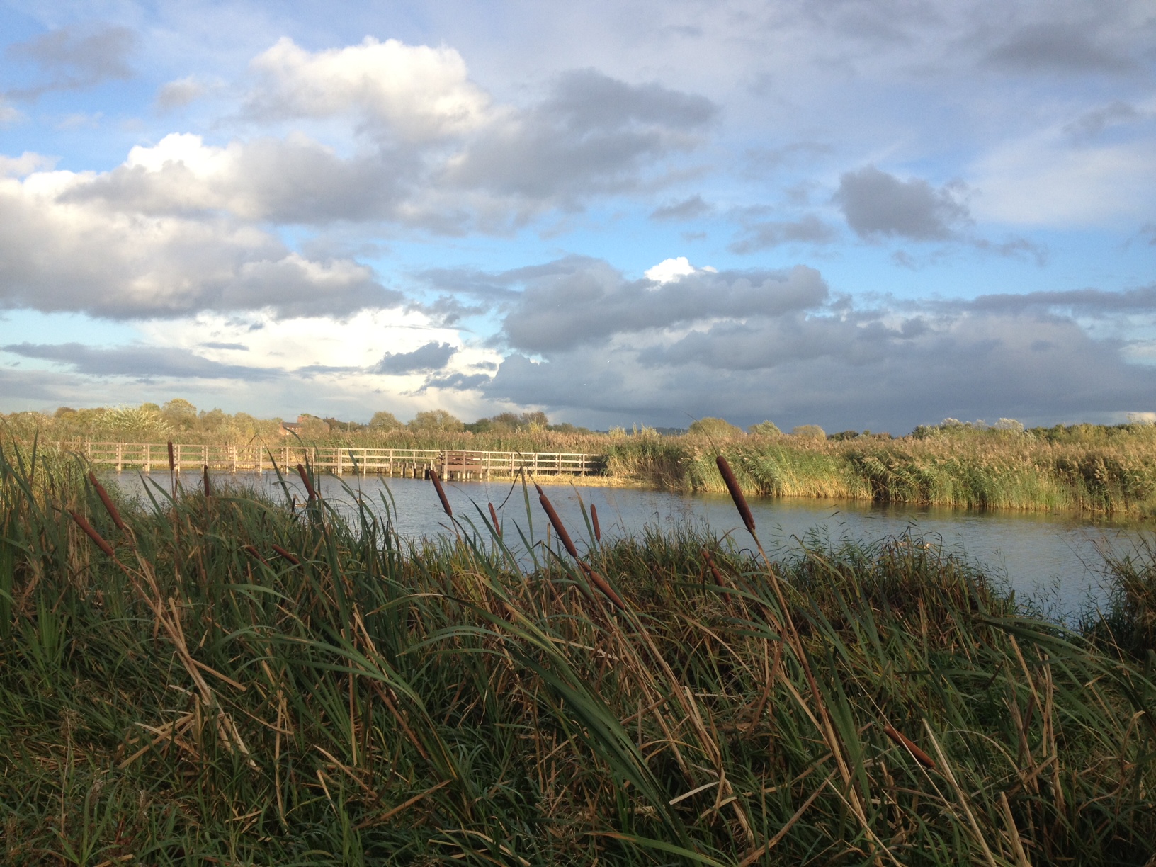 Avon Meadows Wychavon District Council